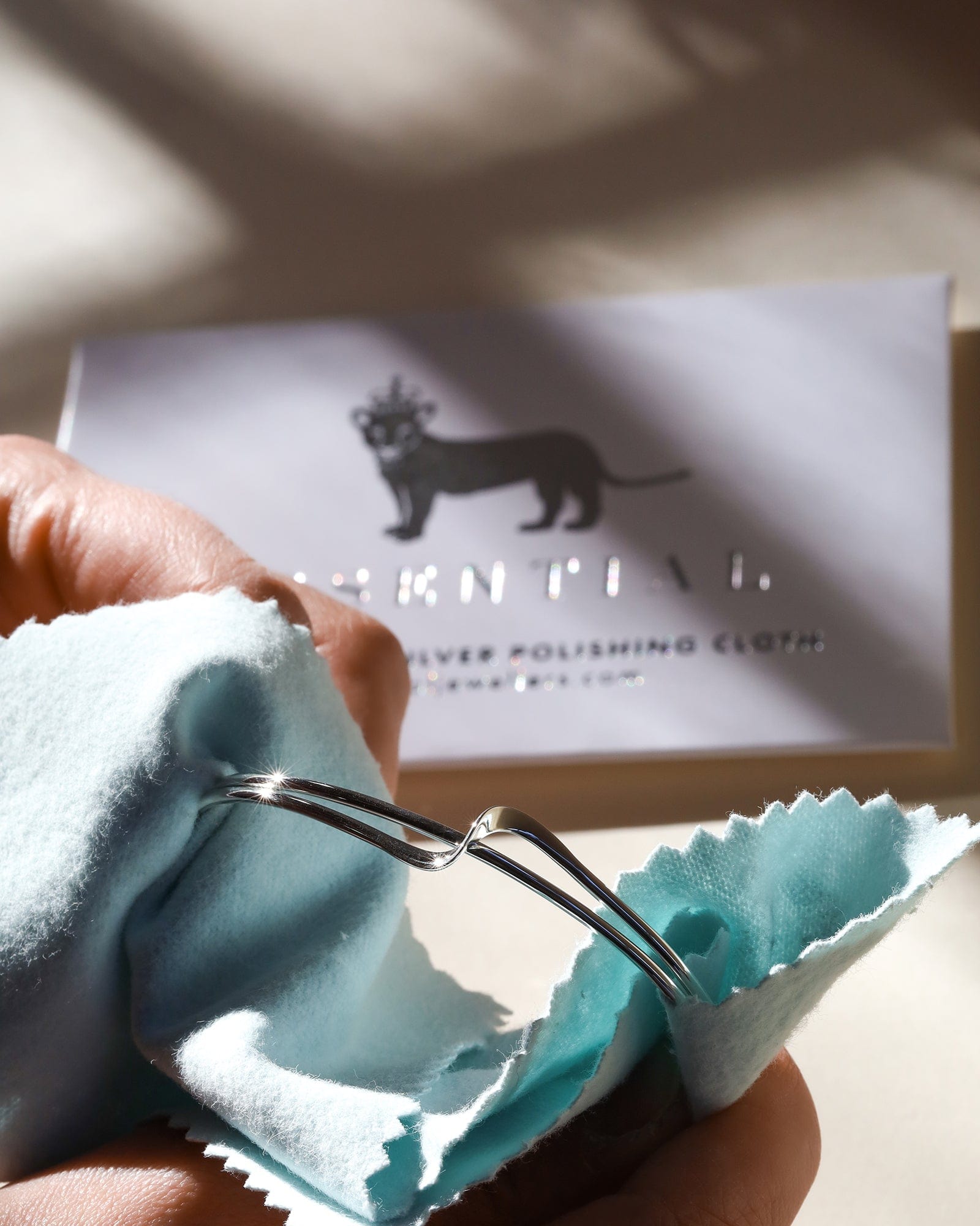 Silver Polishing Cloth