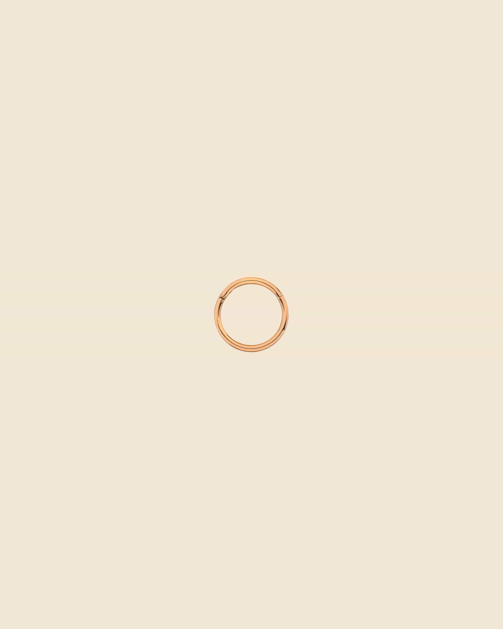 Rose Gold Plated Pvd Titanium Hinged Segment Ring