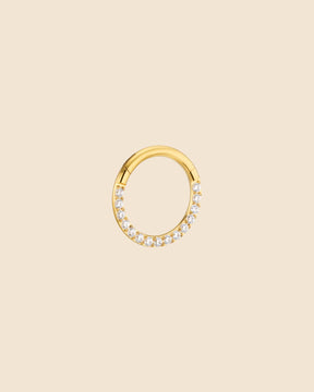 Surgical Steel and Pavé Set Cubic Zirconia Segment Ring