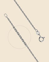 Sterling Silver Light Belcher Chain - From 8.99